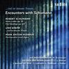 Encounters with Schumann