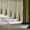 Flemish Connection Vol.4