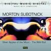 Morton Subotnick - Silver Apples of the Moon, Wild Bull