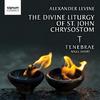 Alexander Levine - The Divine Liturgy of St John Chrysostom