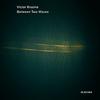 Victor Kissine - Between Two Waves