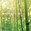 Lei Liang - Bamboo Lights