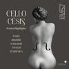 Cello Cesis Festival Highlights