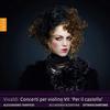Vivaldi - Violin Concertos Vol.7: �Per il castello�
