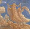 The Mystical Violin between the 19th and 20th Centuries
