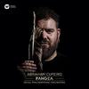 Cupeiro - Pangea