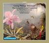 Telemann - Complete Grand Concertos for Mixed Instruments