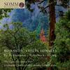 Romantic Violin Sonatas by Schubert, Schumann & Grieg