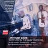 Anthony Davis - Notes from the Underground