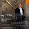 Feigin - Music for Chamber Orchestra