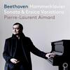 Beethoven - Hammerklavier Sonata & Eroica Variations