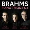 Brahms - Piano Trios 2 & 3