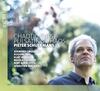 Schuermans - Chaotic Pulse, Pulsating Chaos