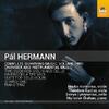 P Hermann - Complete Surviving Music Vol.2: Chamber & Instrumental