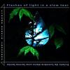 CE Janssens - Flashes of Light in a Slow Tear