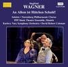S Wagner - An Allem ist Hutchen Schuld