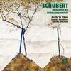 Schubert - Piano Trio no.1, Trout Quintet