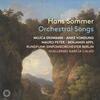 Sommer - Orchestral Songs