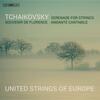 Tchaikovsky - Serenade for Strings, Souvenir de Florence, Andante cantabile