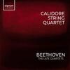 Beethoven - The Late String Quartets