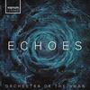 Orchestra of the Swan: Echoes