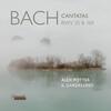 JS Bach - Cantatas BWV 35 & 169, Toccata, Adagio & Fugue