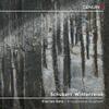 Schubert - Winterreise (arr. E Wesly)
