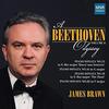A Beethoven Odyssey Vol.8: Piano Sonatas 13, 16, 18 & 22