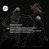 Raaff - Orphic Descent