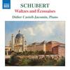 Schubert - Waltzes and Ecossaises