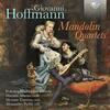 G Hoffmann - Mandolin Quartets