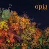 Opia Consort: As You Like It