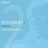 Schubert + Brahms - Piano Works