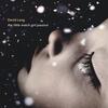 D Lang - the little match girl passion