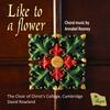A Rooney - Like to a Flower: Choral Music