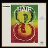 MacDermot - Hair (Original Broadway Cast)
