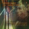 Mulvey - The Tyndall Effect