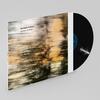 Avishai Cohen - Ashes to Gold (Vinyl LP)