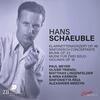 Schaeuble - Clarinet Concerto, Sinfonia concertante, Music for 2 Violins
