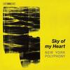 Sky of my Heart