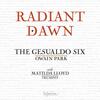 Radiant Dawn