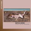 Coppens - Collection of Curiosities