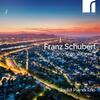 Schubert - Piano Trios Vol.2