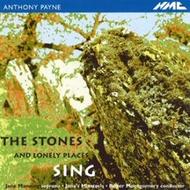Stones and Lonely Places Sing