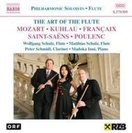 The Art of the Flute | Naxos 8570309