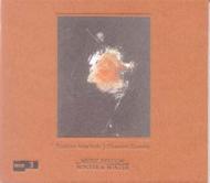 Chanson Discrete