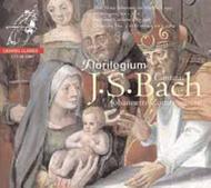 J S Bach - Cantatas                          | Channel Classics CCSSA23807