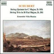 Schubert - String Quartet D.956 | Naxos 8550388