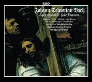 J S Bach - St Luke Passion BWV246