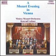 A Mozart evening in Vienna